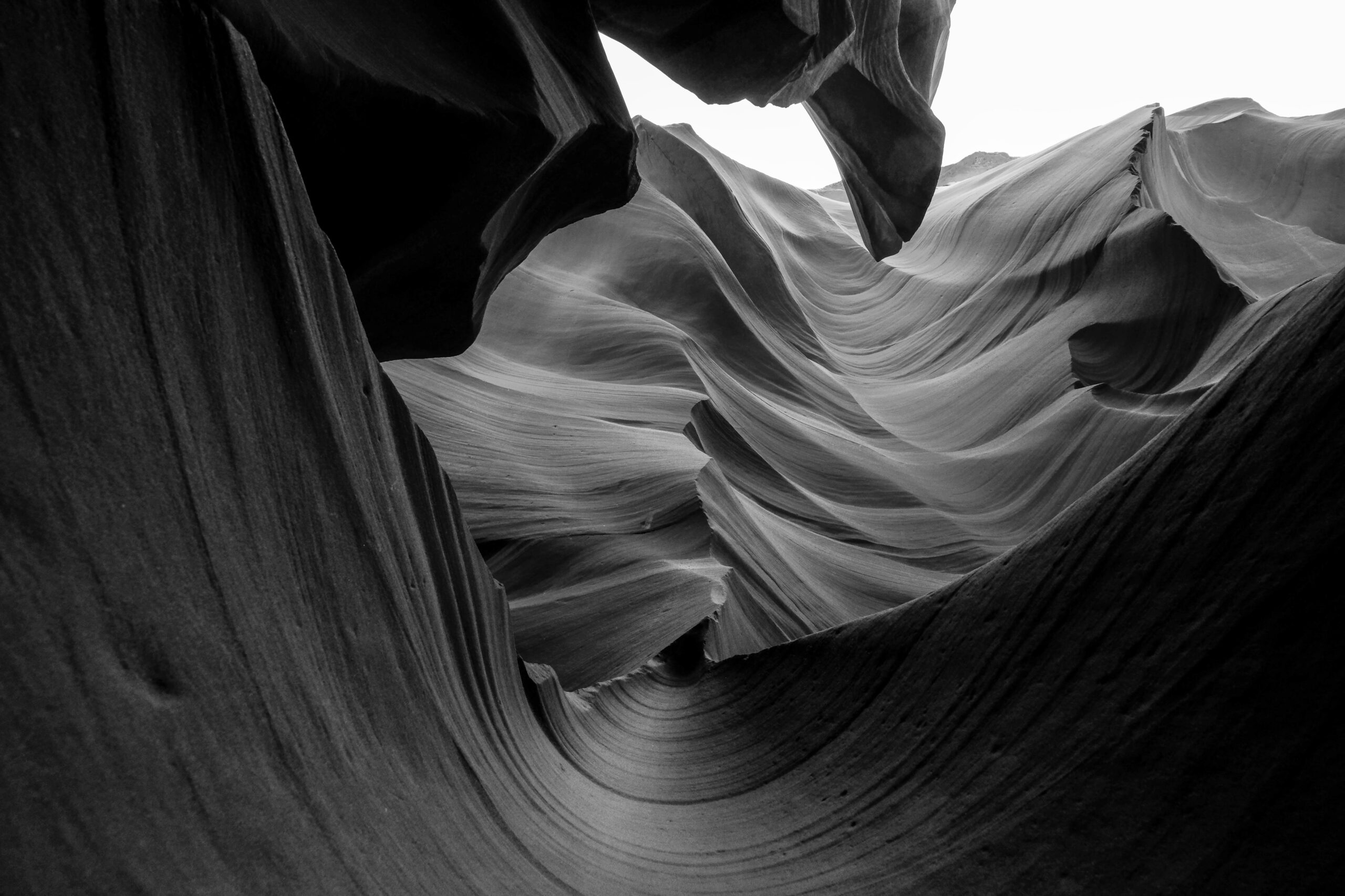 francesco-ungaro-zbmPINOtmf0-unsplash-bw-scaled francesco-ungaro-zbmPINOtmf0-unsplash-bw-scaled